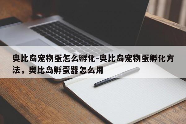 奥比岛宠物蛋怎么孵化-奥比岛宠物蛋孵化方法，奥比岛孵蛋器怎么用