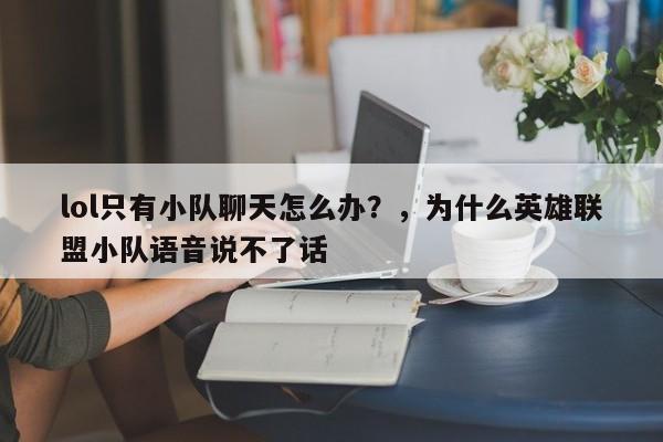 lol只有小队聊天怎么办？，为什么英雄联盟小队语音说不了话