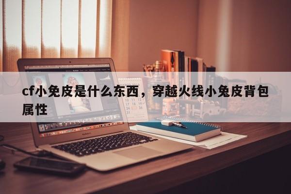 cf小免皮是什么东西，穿越火线小兔皮背包属性