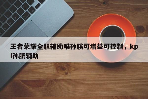 王者荣耀全职辅助唯孙膑可增益可控制，kpl孙膑辅助