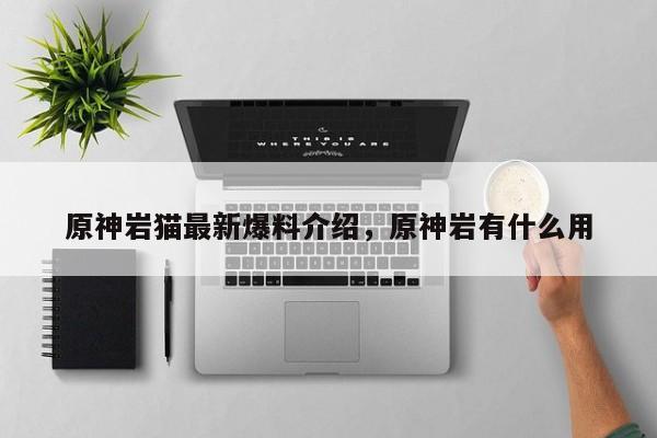 原神岩猫最新爆料介绍，原神岩有什么用