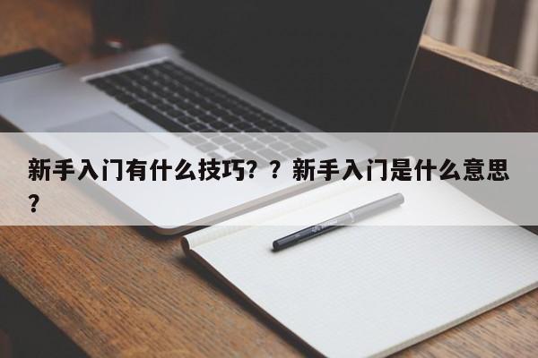 新手入门有什么技巧？？新手入门是什么意思？