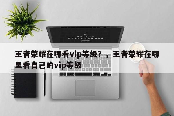 王者荣耀在哪看vip等级？，王者荣耀在哪里看自己的vip等级