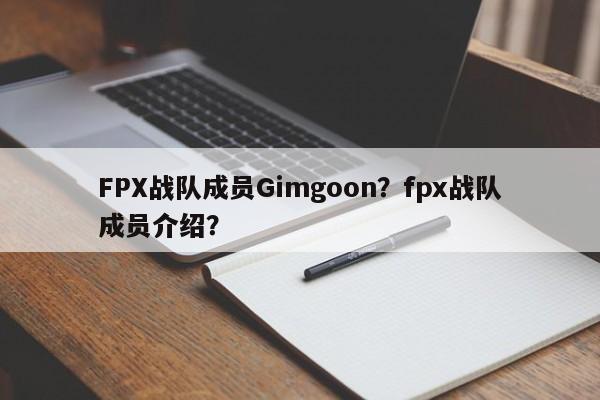 FPX战队成员Gimgoon？fpx战队成员介绍？
