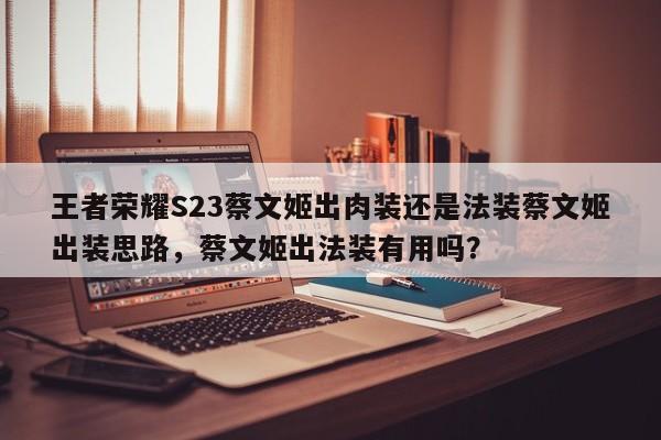 王者荣耀S23蔡文姬出肉装还是法装蔡文姬出装思路，蔡文姬出法装有用吗？