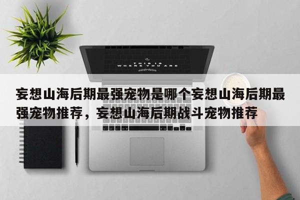 妄想山海后期最强宠物是哪个妄想山海后期最强宠物推荐，妄想山海后期战斗宠物推荐
