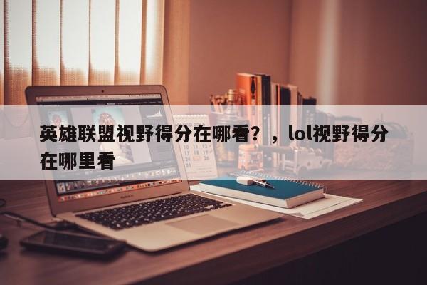 英雄联盟视野得分在哪看？，lol视野得分在哪里看