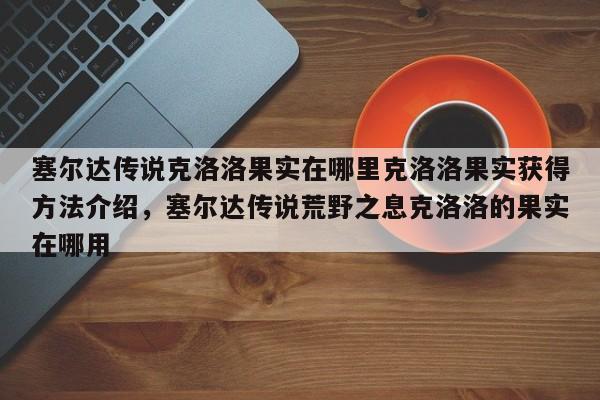 塞尔达传说克洛洛果实在哪里克洛洛果实获得方法介绍，塞尔达传说荒野之息克洛洛的果实在哪用