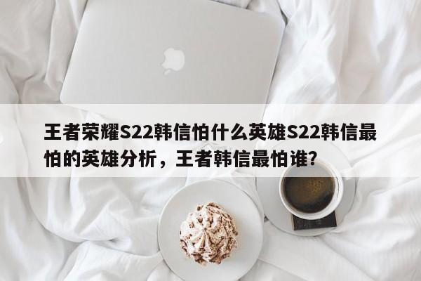 王者荣耀S22韩信怕什么英雄S22韩信最怕的英雄分析，王者韩信最怕谁？