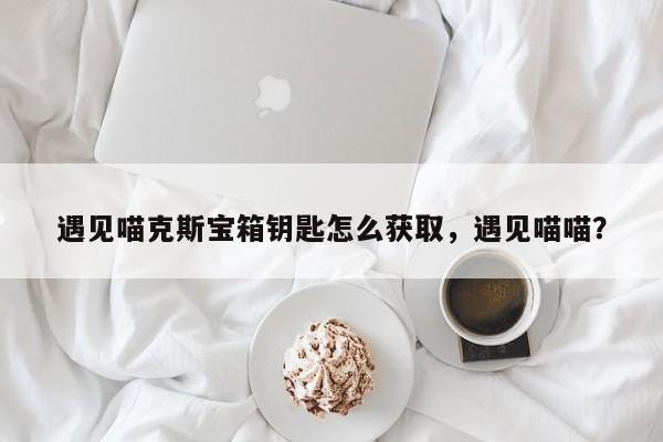 遇见喵克斯宝箱钥匙怎么获取，遇见喵喵？