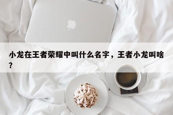 小龙在王者荣耀中叫什么名字，王者小龙叫啥？