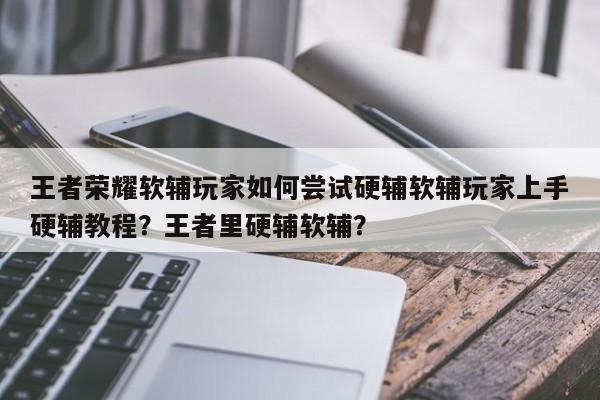 王者荣耀软辅玩家如何尝试硬辅软辅玩家上手硬辅教程？王者里硬辅软辅？