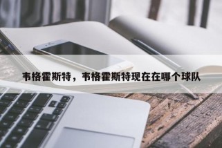 韦格霍斯特，韦格霍斯特现在在哪个球队