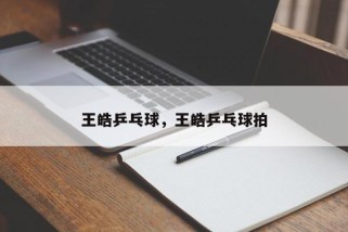 王皓乒乓球，王皓乒乓球拍