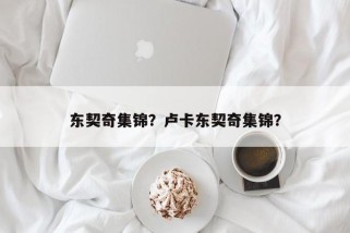 东契奇集锦？卢卡东契奇集锦？