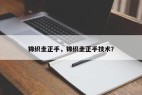 锦织圭正手，锦织圭正手技术？