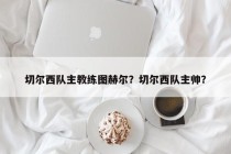 切尔西队主教练图赫尔？切尔西队主帅？