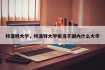 特温特大学，特温特大学相当于国内什么大学
