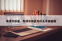 布泽尔投篮，布泽尔投篮为什么不被盖帽