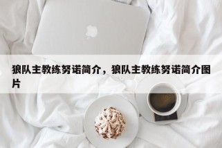 狼队主教练努诺简介，狼队主教练努诺简介图片