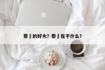 蔡赟的好大？蔡赟在干什么？
